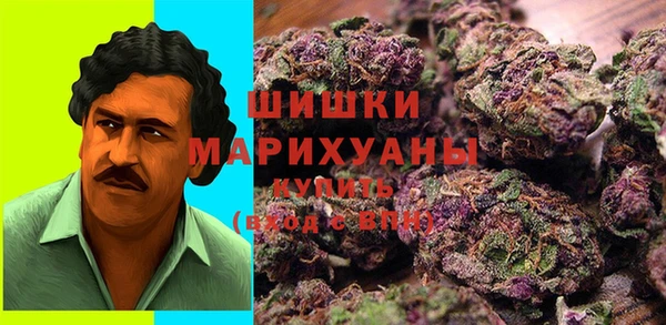 СК Новозыбков