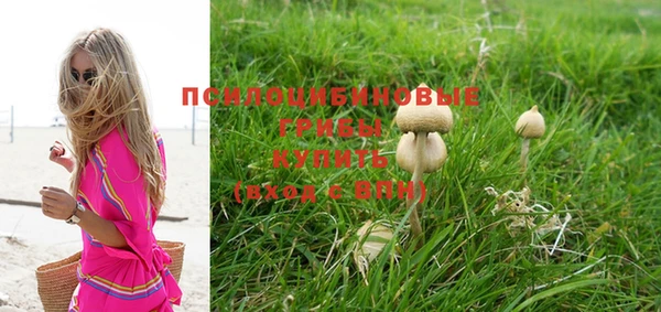 mdpv Новодвинск