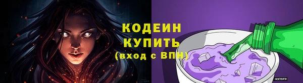 СК Новозыбков