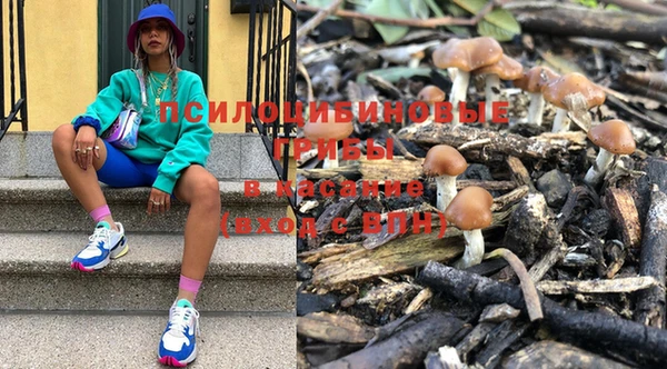 каннабис Новокубанск