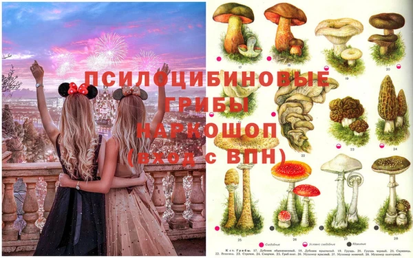 каннабис Новокубанск