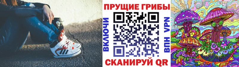 Псилоцибиновые грибы Psilocybe  Новодвинск 