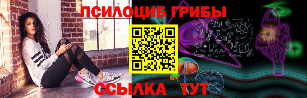 Новодвинск  Псилоцибиновые грибы ЛСД  Вход с VPN  закладки  Галлюциногенные грибы Psilocybine cubensis 