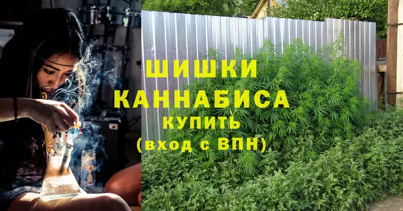 Шишки марихуана LSD WEED  blacksprut как зайти  Новодвинск 