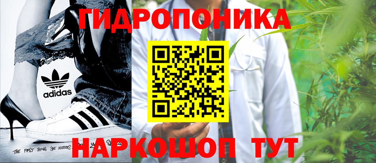 Марихуана SATIVA & INDICA Новодвинск